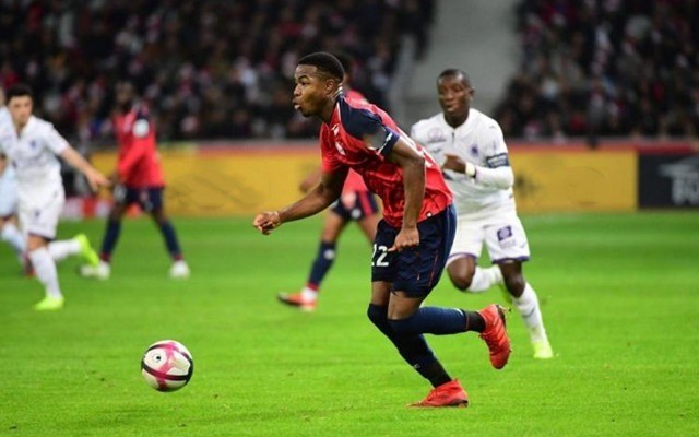 特别是在全 特别是在全