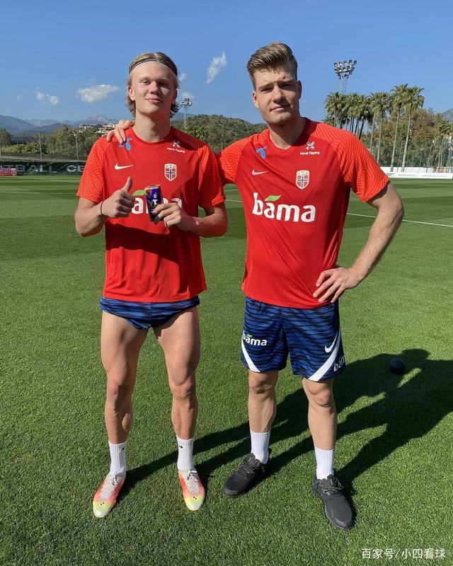 惠灵顿凤凰 惠灵顿凤凰